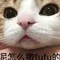 more chilli pokie machine poker online lengkap Shizuka Kudo Penyanyi Shizuka Kudo (52) mengupdate Instagramnya pada tanggal 6